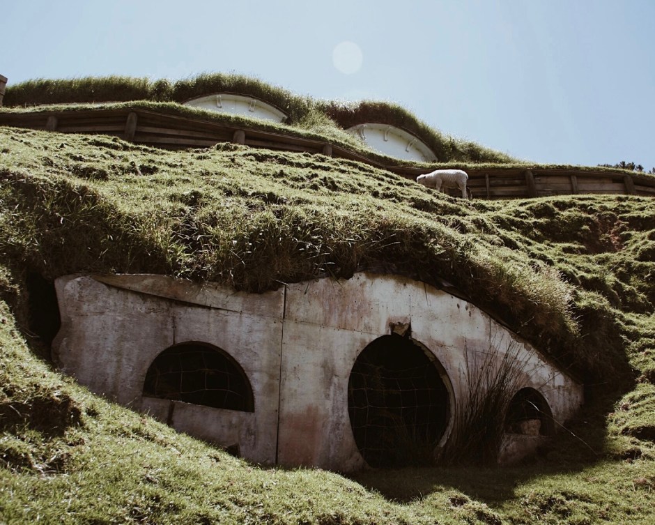 Processed with VSCO with a4 preset