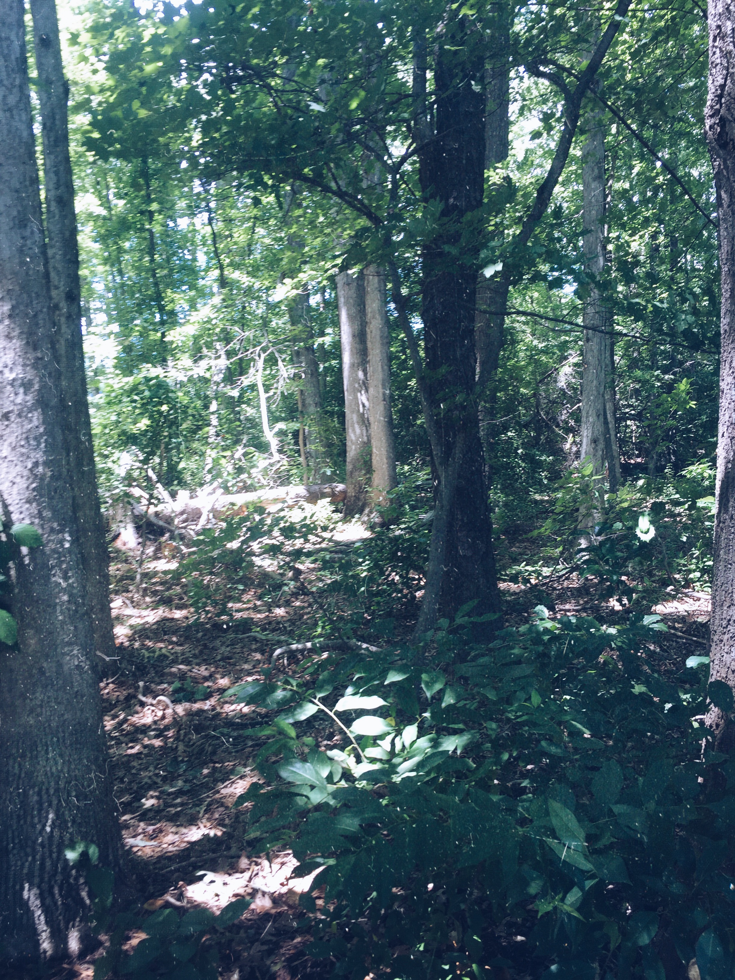 Processed with VSCO with a5 preset